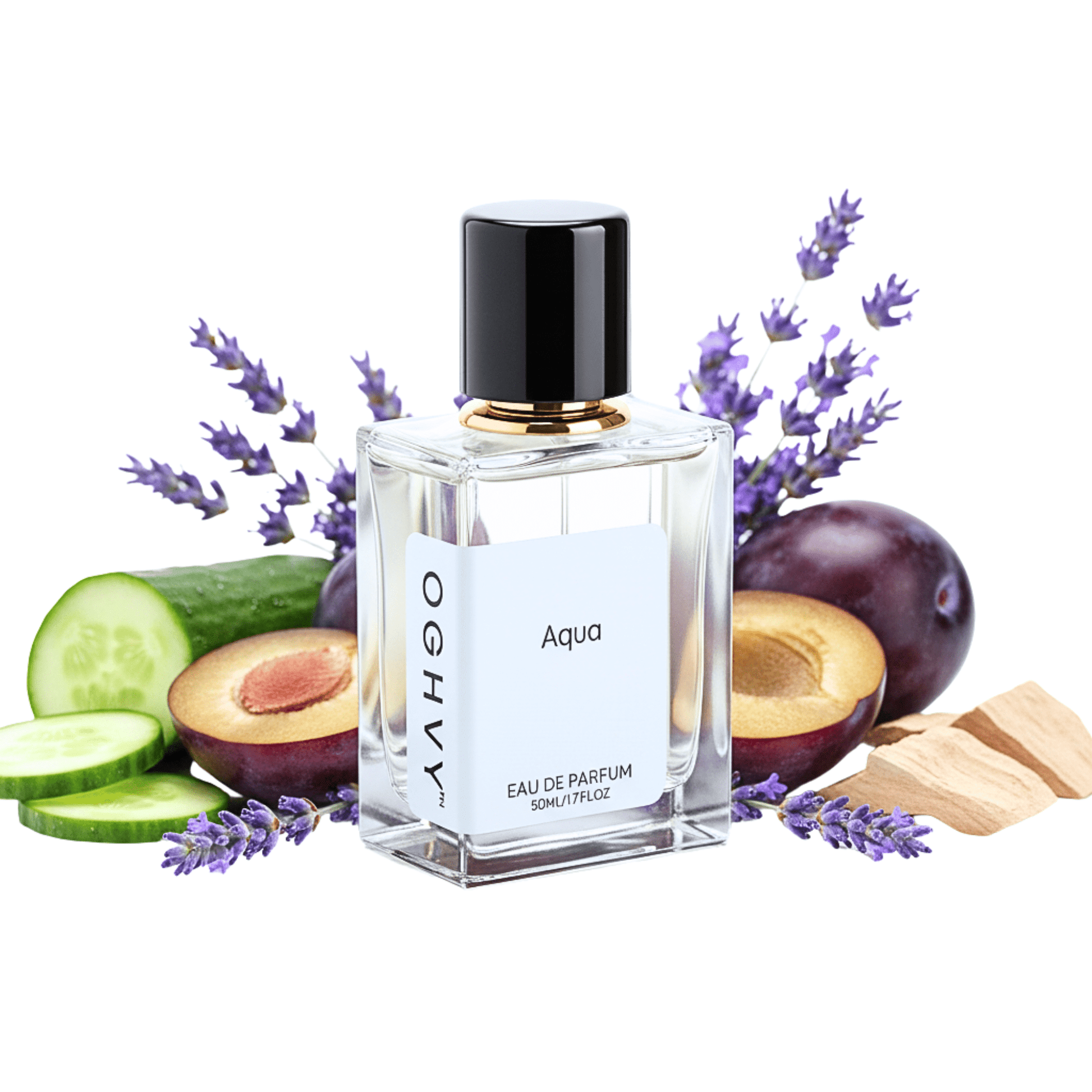 Aqua Perfume for Men 50ml | Fresh Aquatic Long Lasting Fragrance – OGHVY.