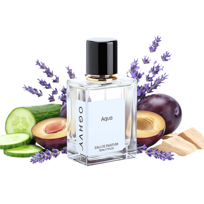 Aqua Perfume for Men 50ml | Fresh Aquatic Long Lasting Fragrance – OGHVY.
